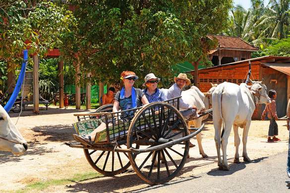 AmaWaterways, AmaDara, Ox Cart Ride.jpg